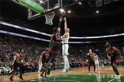 奇才力克凯尔特人，戈贝尔送出助攻的简单介绍