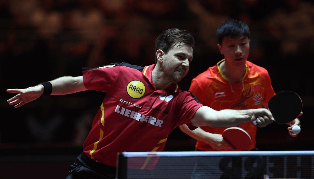 德国乒乓球队绝地反击奥地利乒乓球队，波尔爆发神勇的简单介绍