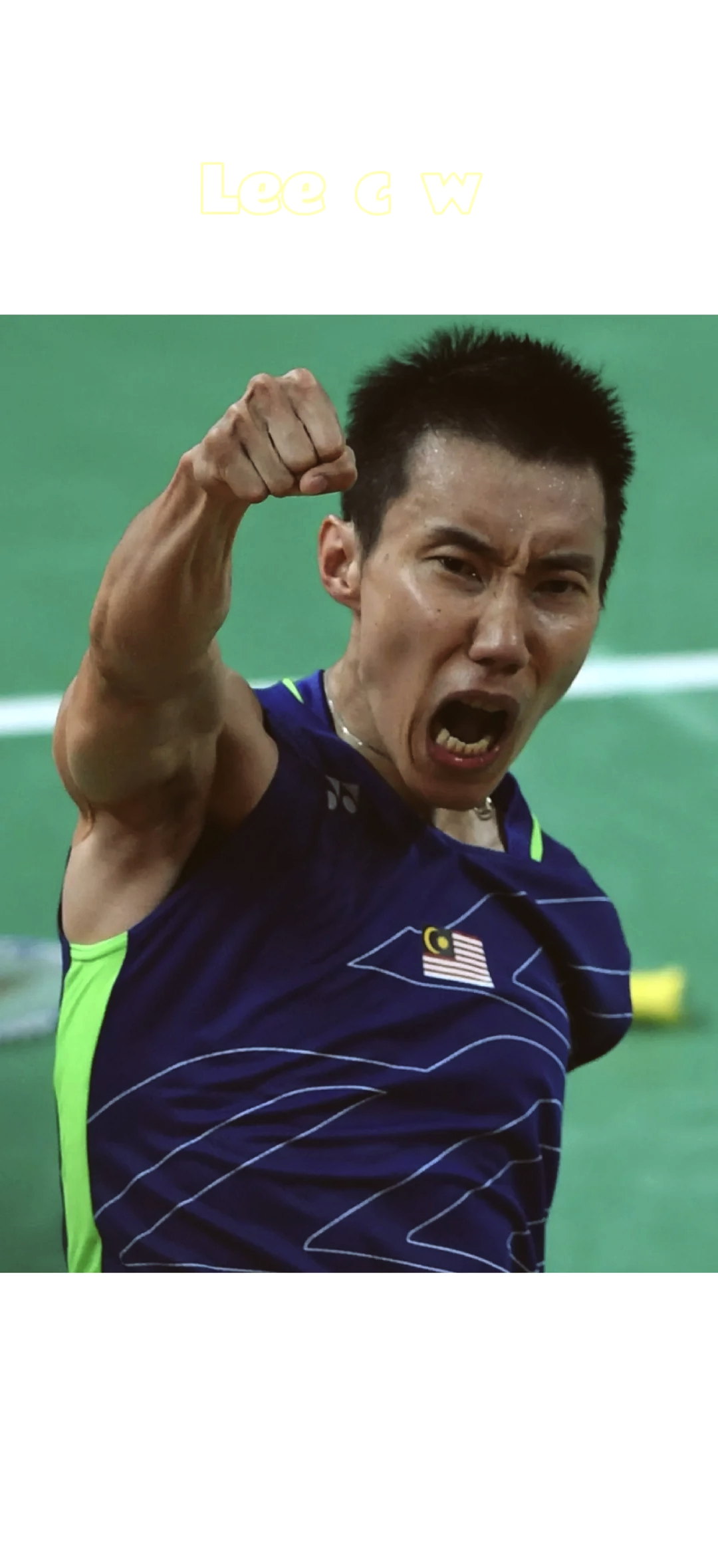 包含印度羽毛球队完胜中国羽毛球队，李宗伟完成帽子戏法的词条