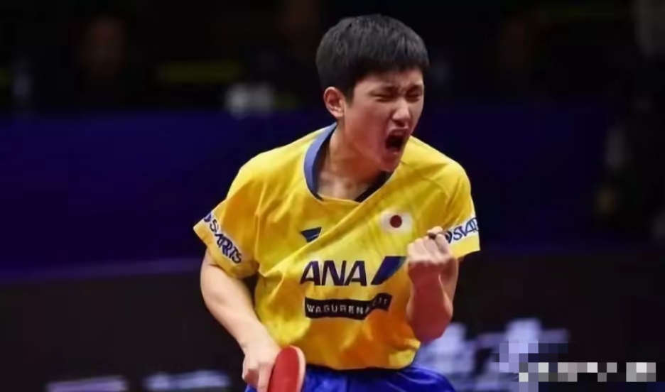 日本乒乓球队险胜中国乒乓球队，许昕绝境逆转的简单介绍