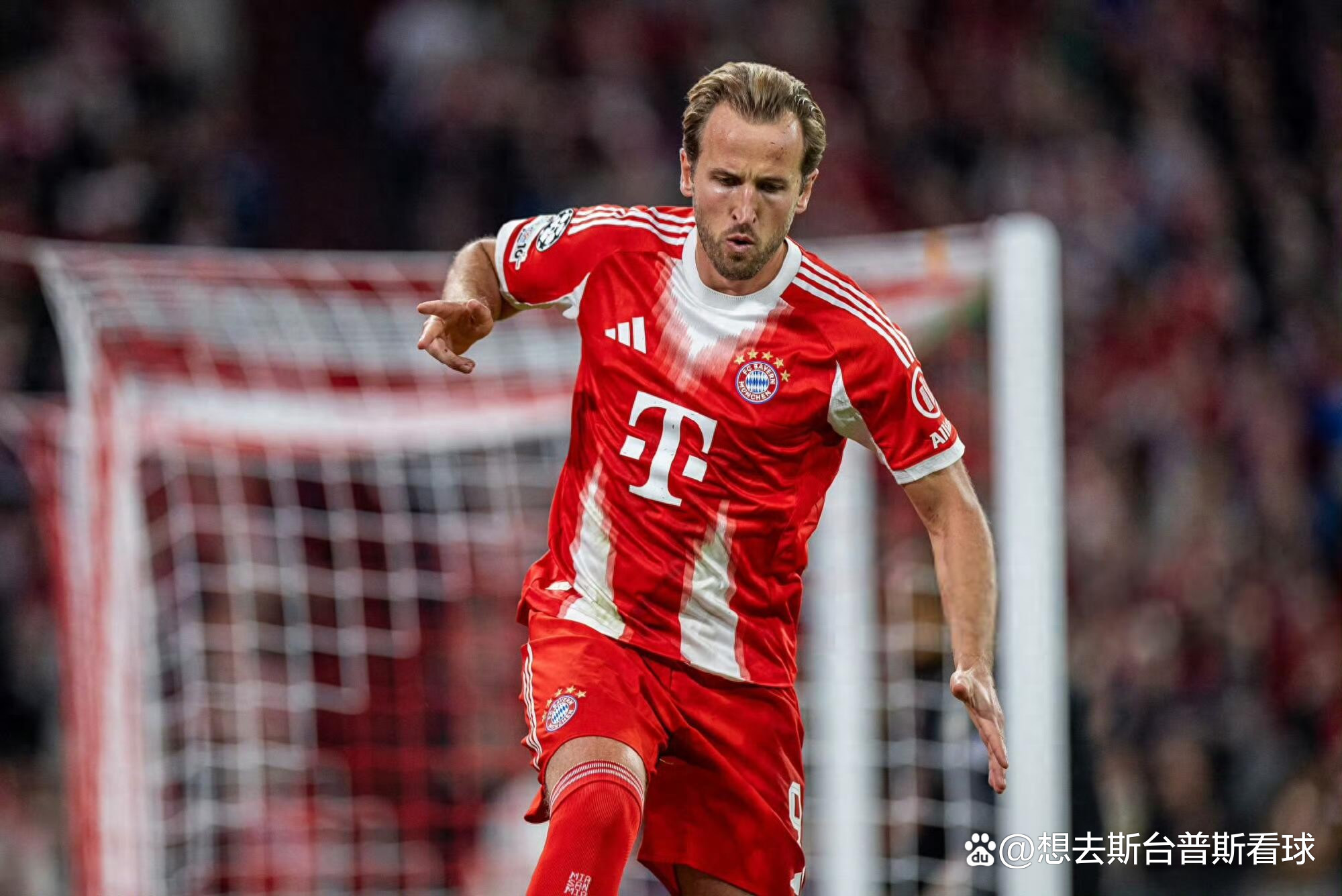 包含德国碾压切尔西，凯恩统治全场的词条