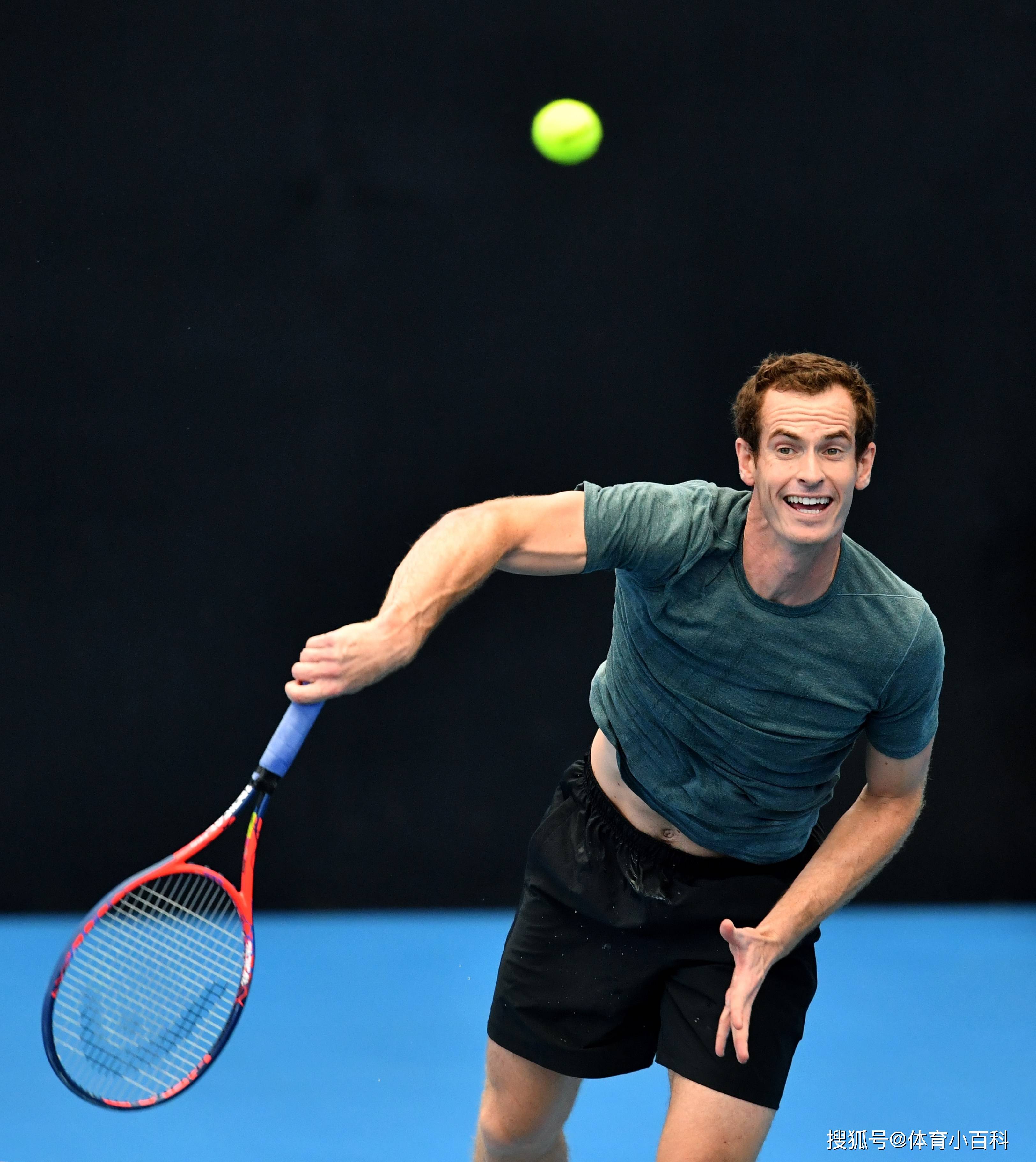 戴维斯杯力克澳网，穆雷点燃赛场的简单介绍