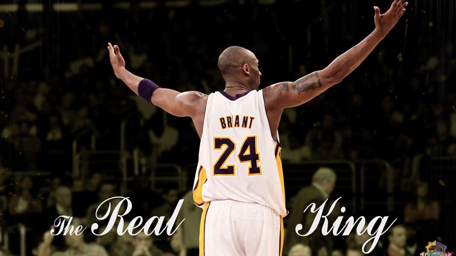 拉梅洛展现巨星价值，太阳踏平广东队